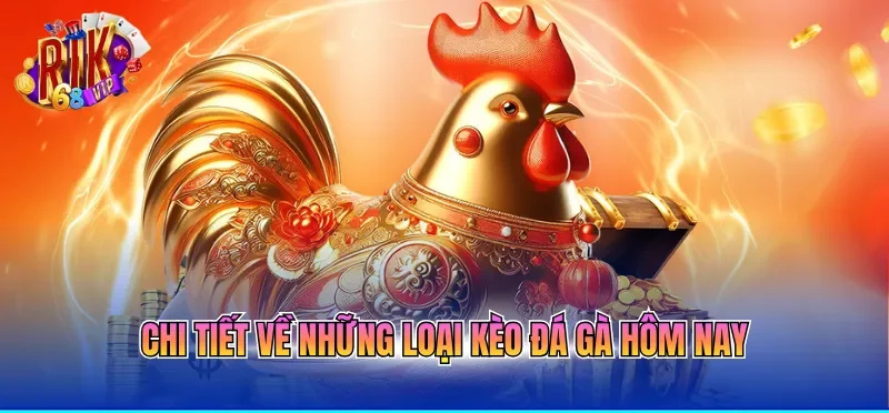 Kèo Đá Gà Hôm Nay - Cập Nhật Tỷ Lệ Cược Mới Nhất 2026 1 Chi tiết về những loại kèo đá gà hôm nay