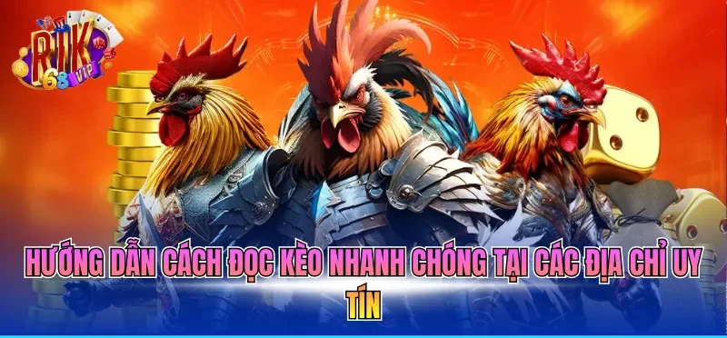 Kèo Đá Gà Hôm Nay - Cập Nhật Tỷ Lệ Cược Mới Nhất 2026 3 Hướng dẫn cách đọc kèo nhanh chóng tại các địa chỉ uy tín