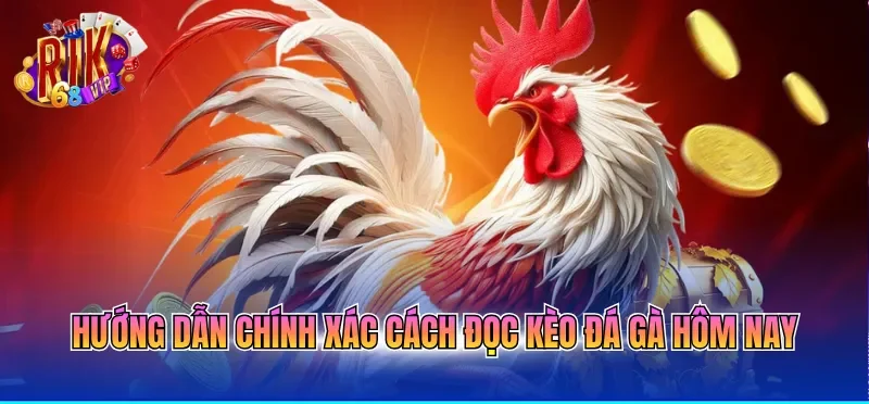 Kèo Đá Gà Hôm Nay - Cập Nhật Tỷ Lệ Cược Mới Nhất 2026 2 Hướng dẫn chính xác cách đọc kèo đá gà hôm nay