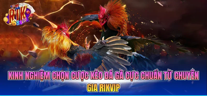 Kèo Đá Gà Hôm Nay - Cập Nhật Tỷ Lệ Cược Mới Nhất 2026 4 Kinh nghiệm chọn cược kèo đá gà cực chuẩn từ chuyên gia RIKVIP