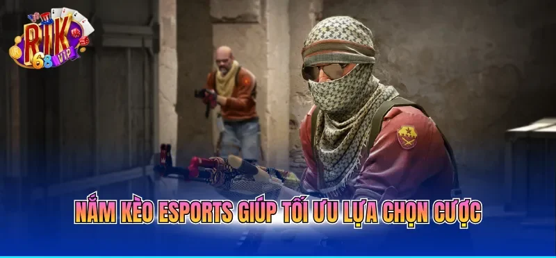 Cá Cược Esports Online Tổng Hợp Kèo Đấu Hấp Dẫn Mỗi Ngày 2 Nắm kèo esports giúp tối ưu lựa chọn cược